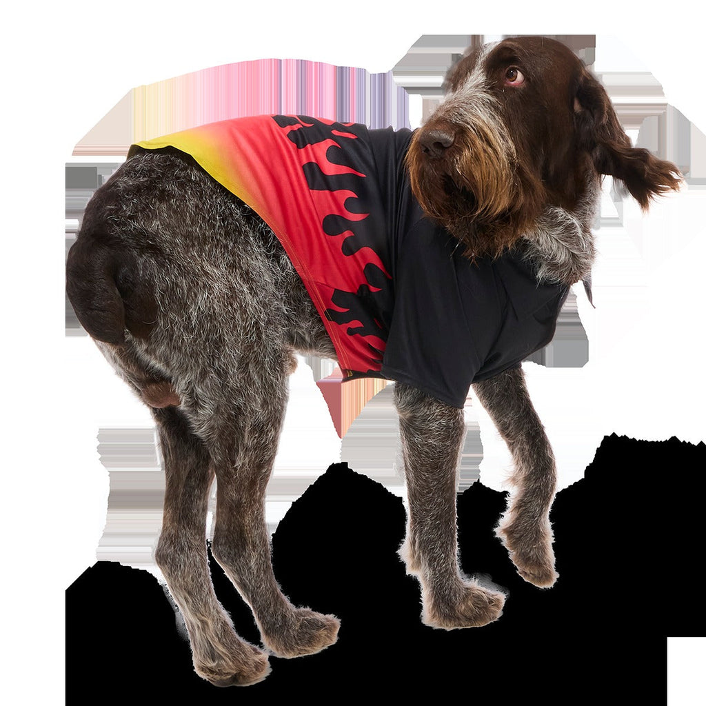 Flame Broiled Button-Down Dog Shirt