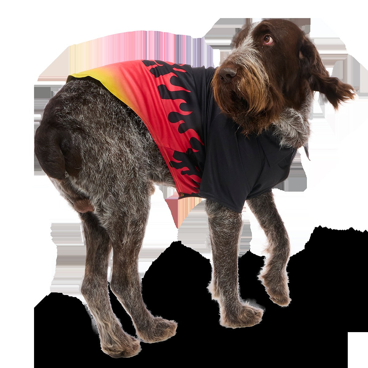 Flame Broiled Button-Down Dog Shirt