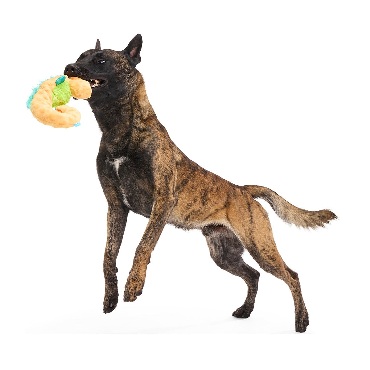 Swirlin Shirley the Seahorse Plush Tug Dog Toy