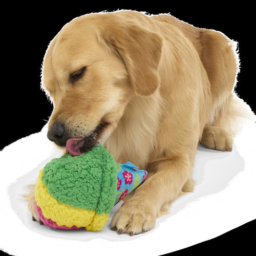 A-Sno-Ha Cone Plush Fetch Dog Toy
