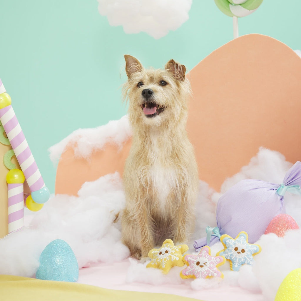 Flake N' Bake Cookies Plush Multi-Part Dog Toy