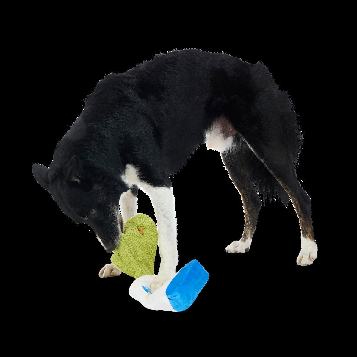 Arf Bag Plush Tug + Enrichment Dog Toy