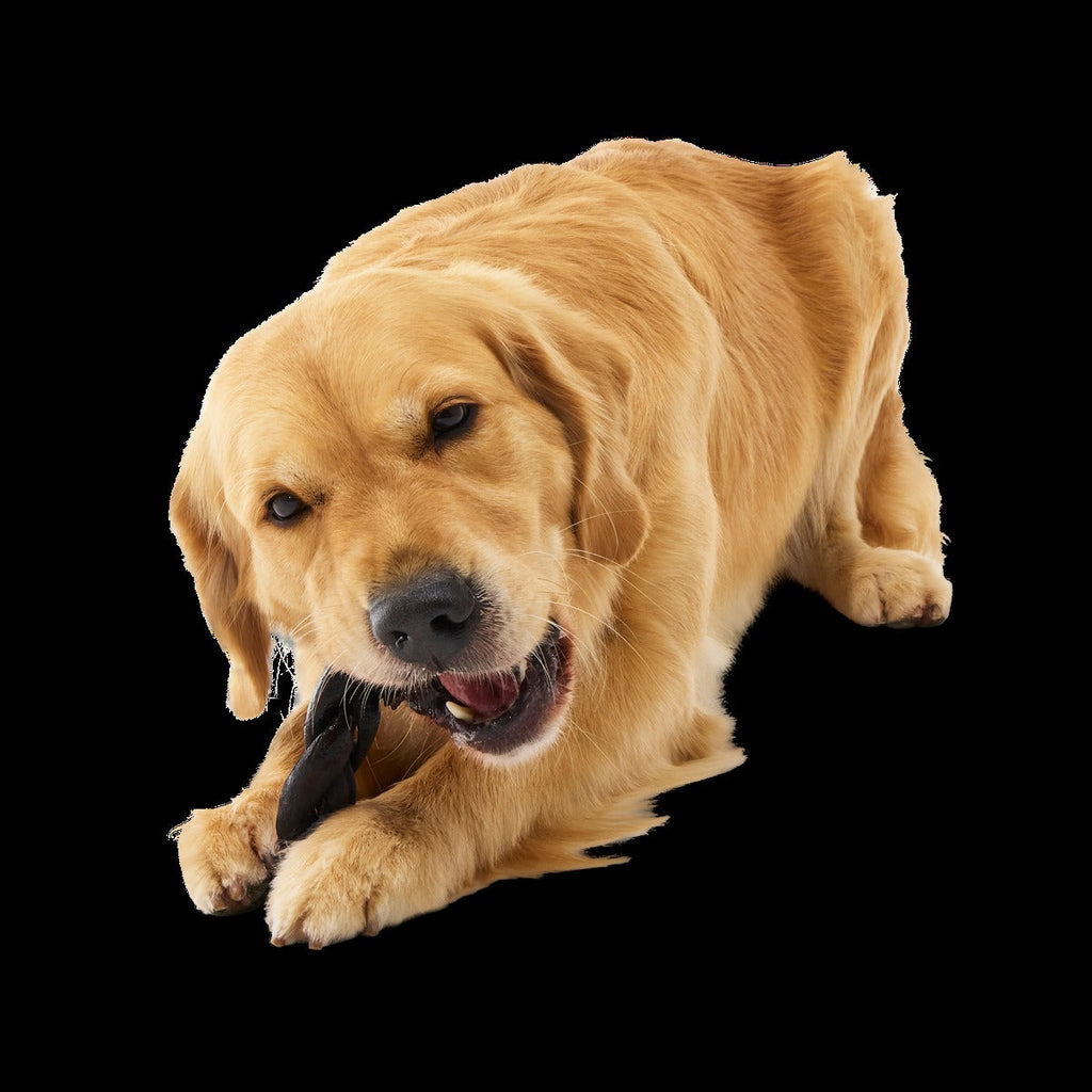 Beef Braided Collagen Dog Chews, 5 Ct