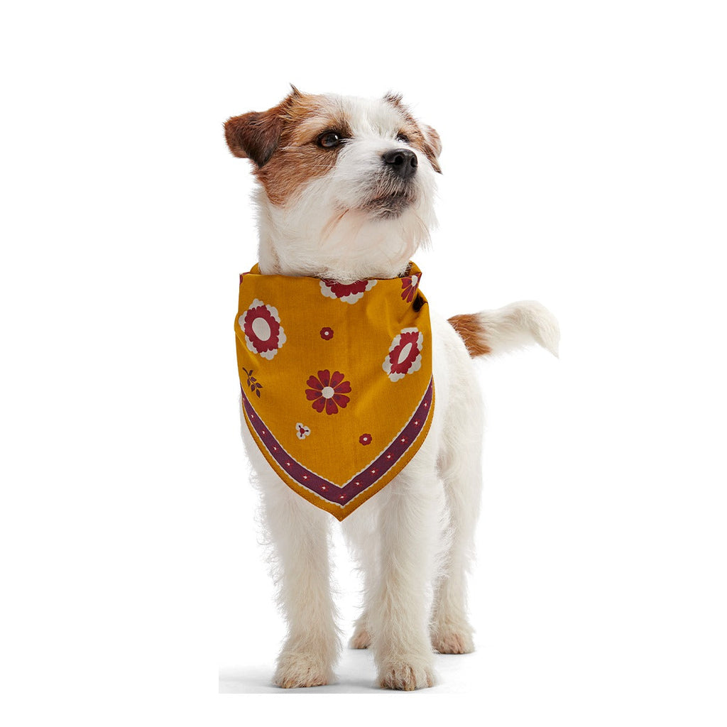 Fall Reversible Dog Bandana