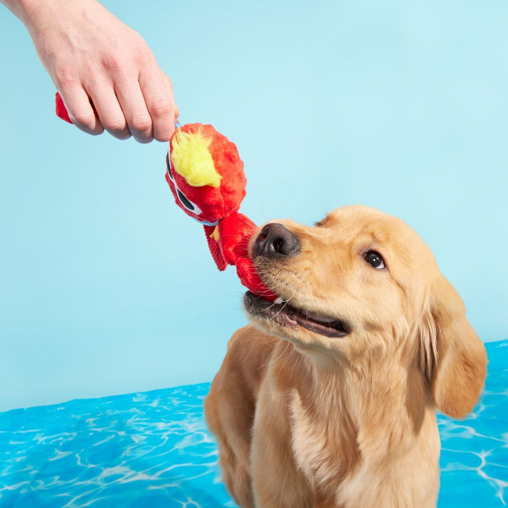 Brock Lobster Plush Tug Dog Toy