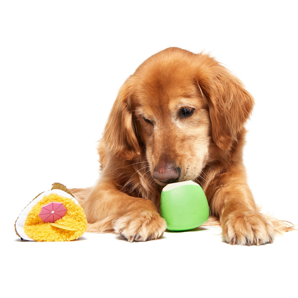 Coco-Mutt Cocktail Super Chewer Durable 2-in-1 + Fetch + Enrichment Dog Toy