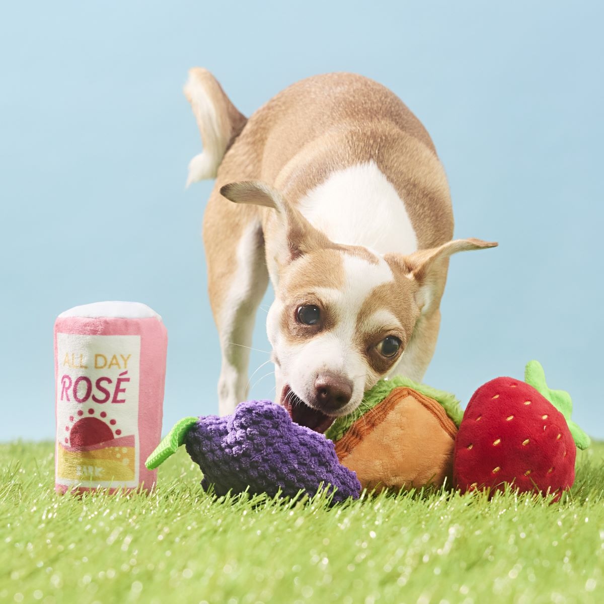 Licknic Pack Plush Multi-Part + Tug Dog Toy