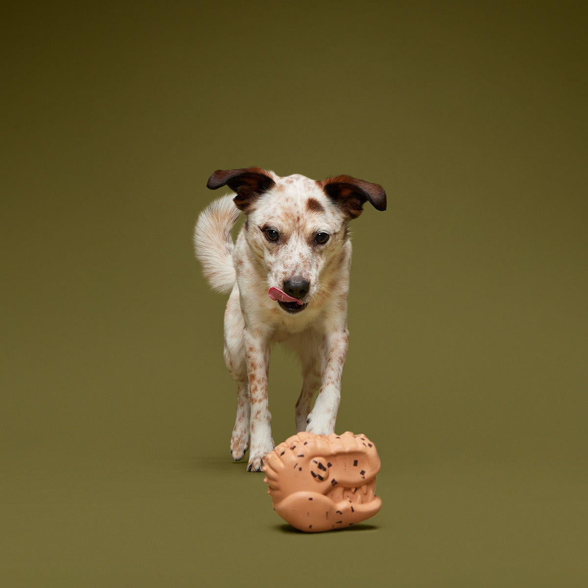 Feeding Time Super Chewer Durable Enrichment Dog Toy