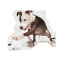 Ruff n' Tumble BumbleTM Super Chewer Durable 2-in-1 + Fetch Dog Toy