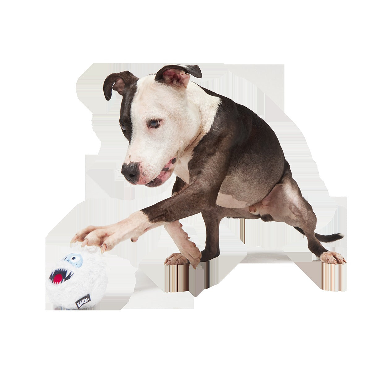 Ruff n' Tumble BumbleTM Super Chewer Durable 2-in-1 + Fetch Dog Toy