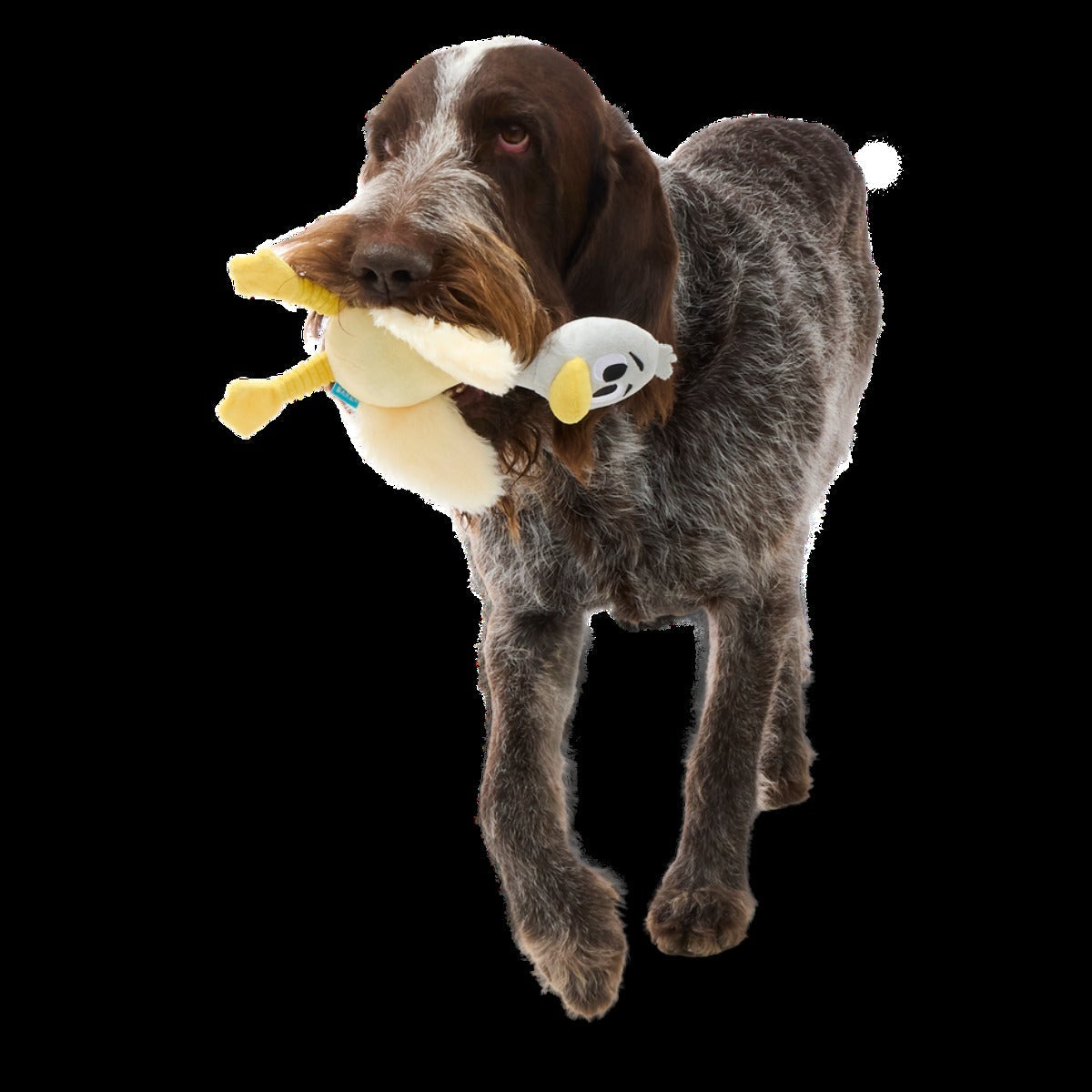 Lucy Goosey Plush Tug Dog Toy