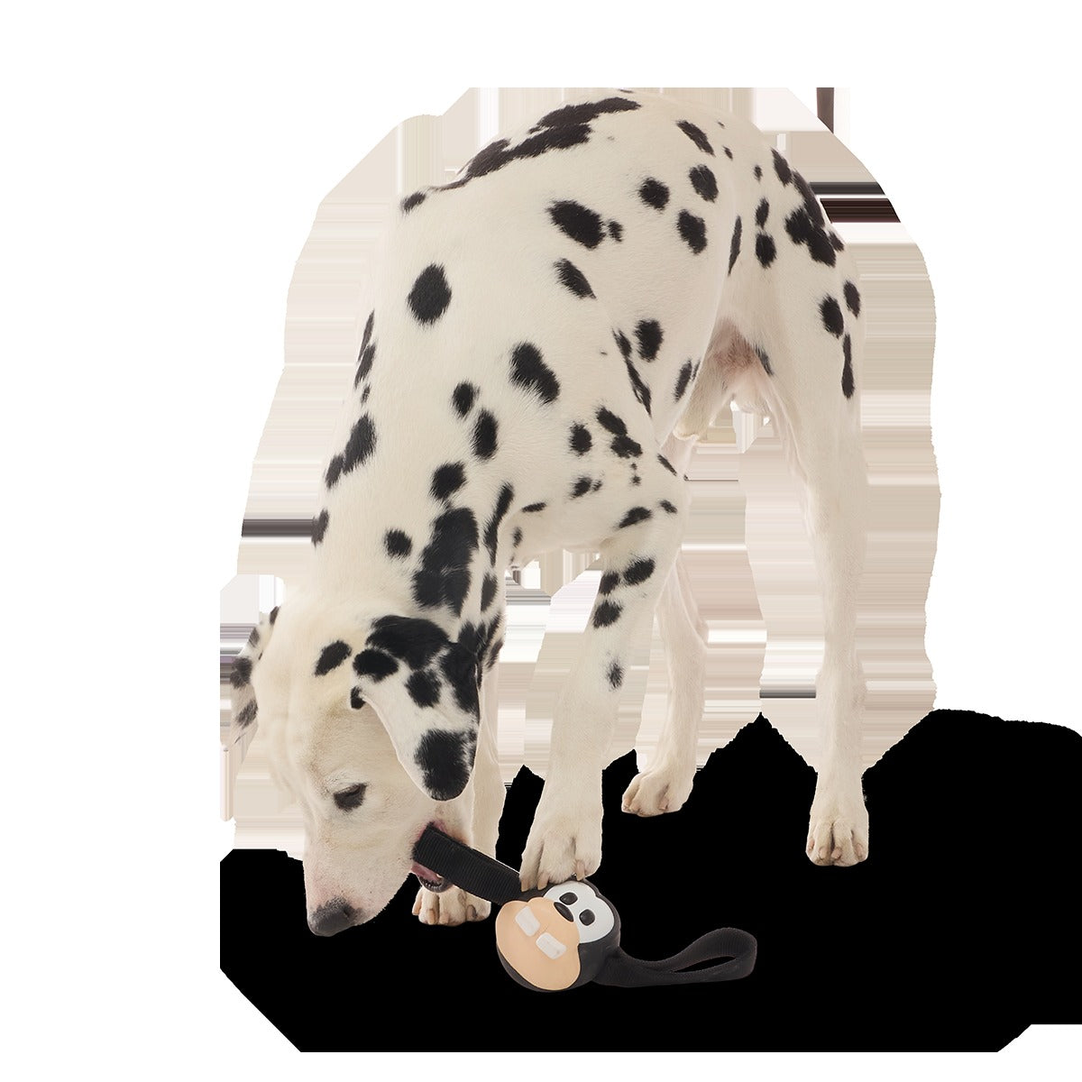 Hats Off Goofy Super Chewer Durable Tug Dog Toy