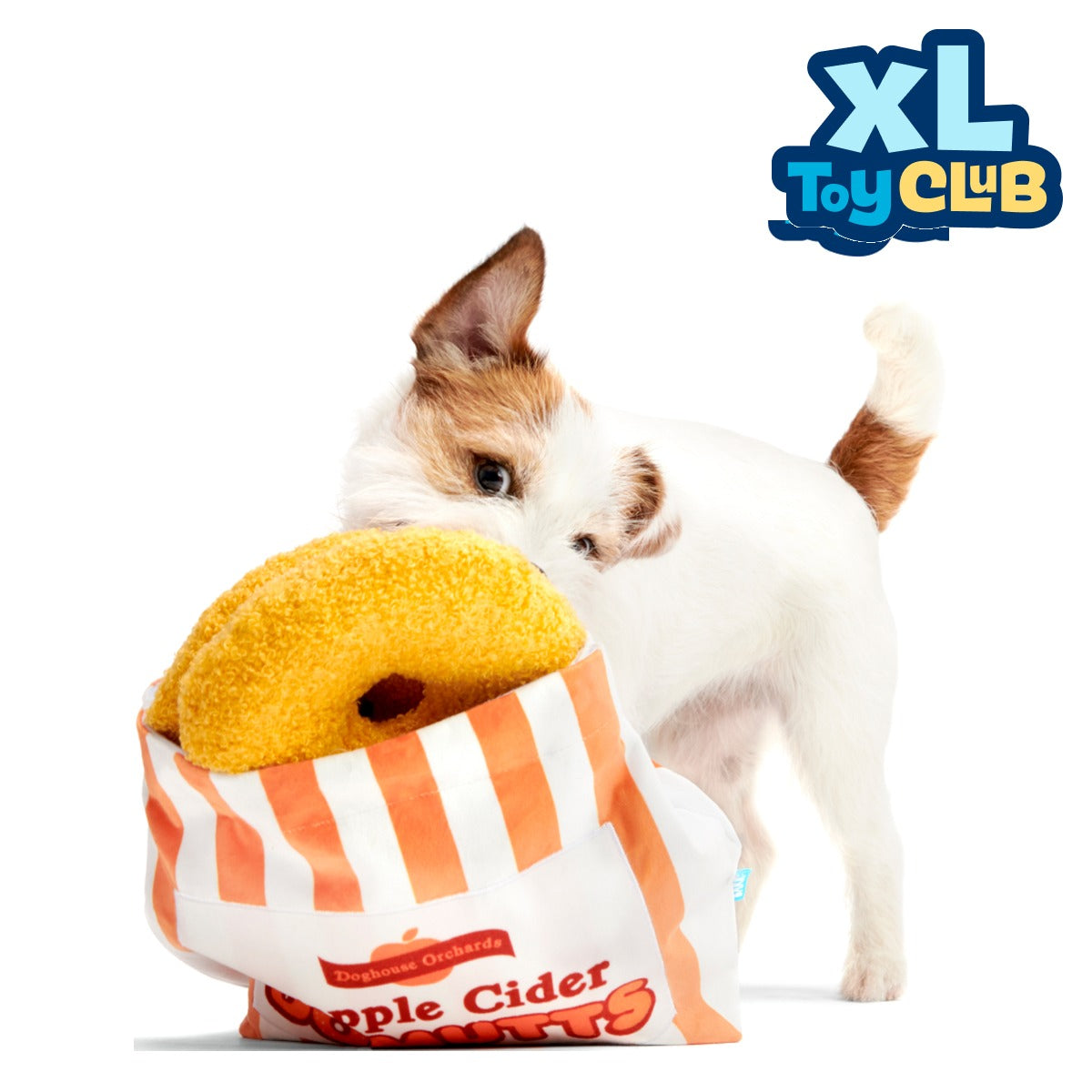 Extra-Large Toy Club, Monthly Plush XL Dog Toys