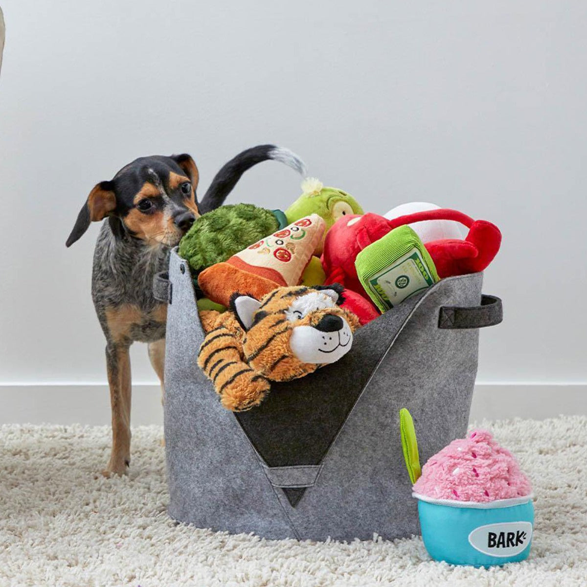 Felt Dog Toy Bin