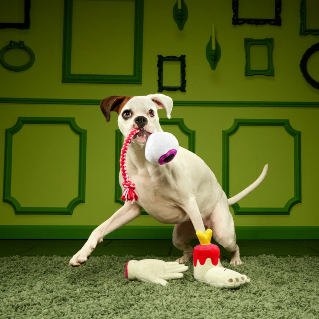 The Part-y Pack Plush Multi-Part + Tug Dog Toy
