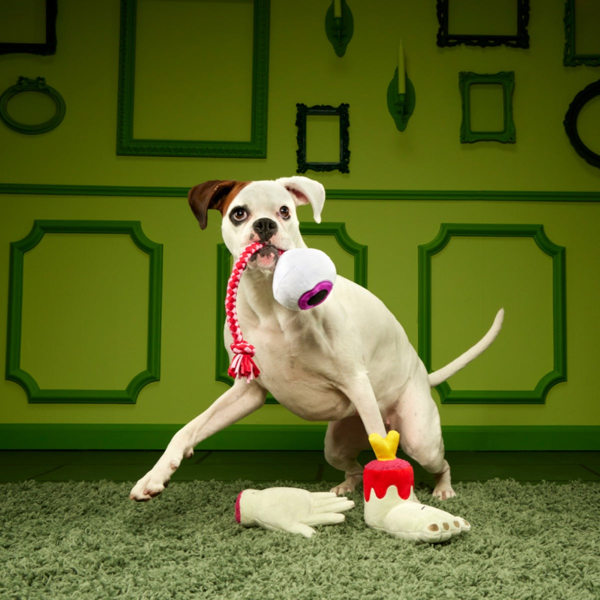 The Part-y Pack Plush Multi-Part + Tug Dog Toy