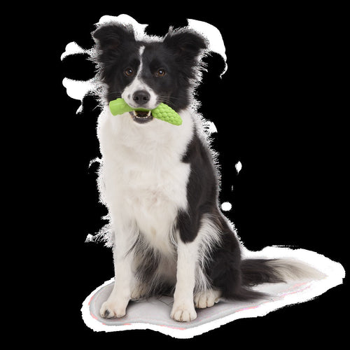 Aspupagus Super Chewer Durable Gnaw Toy