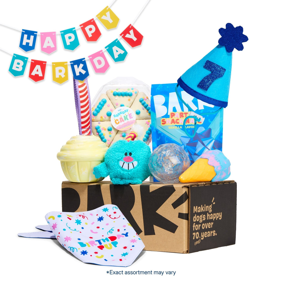Birthday Super Chewer Gift Box