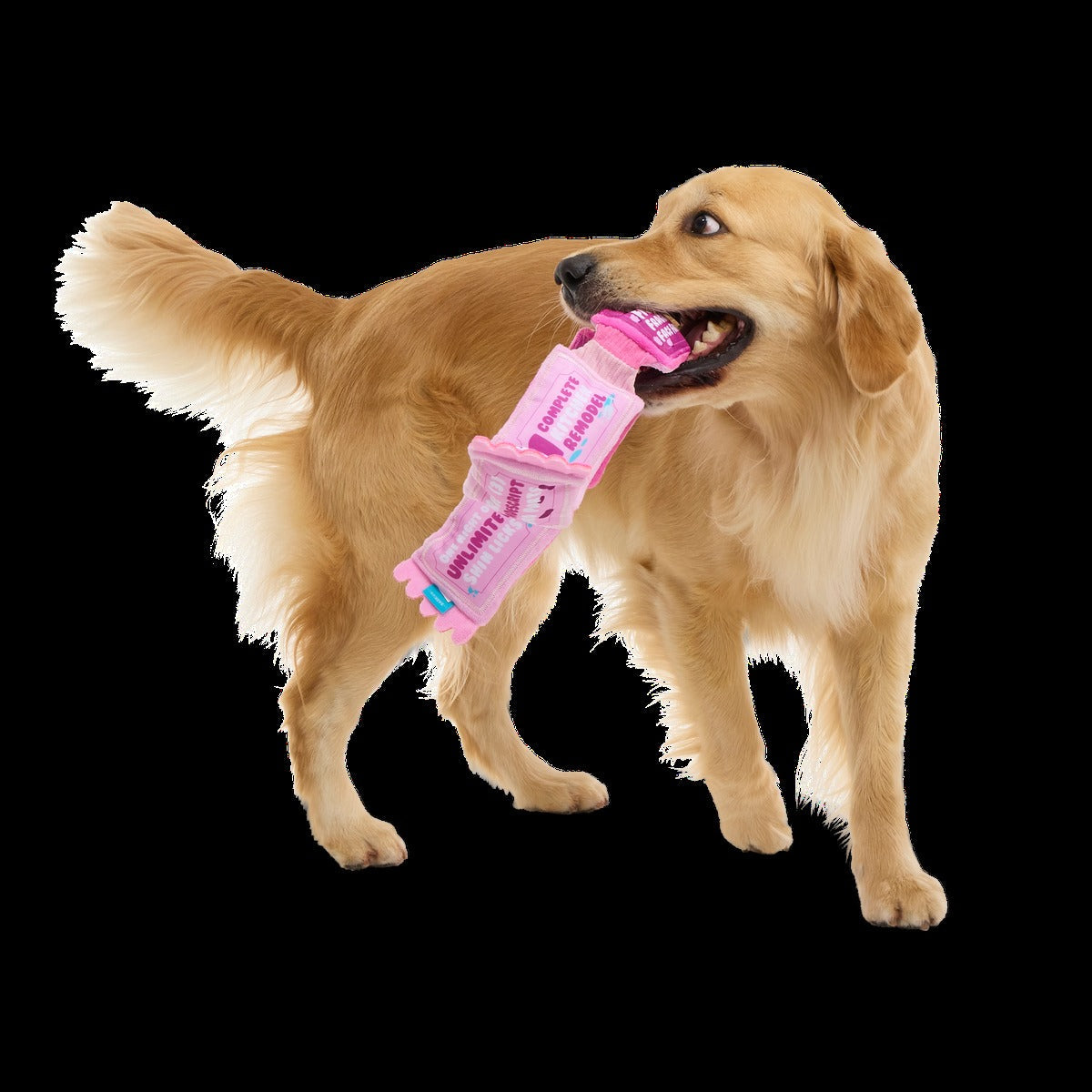 Puppy Love Coupons Plush Tug Dog Toy