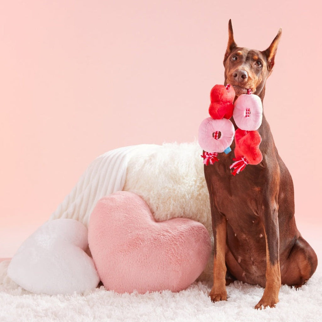 XOXO Rope Tug Plush Tug Dog Toy