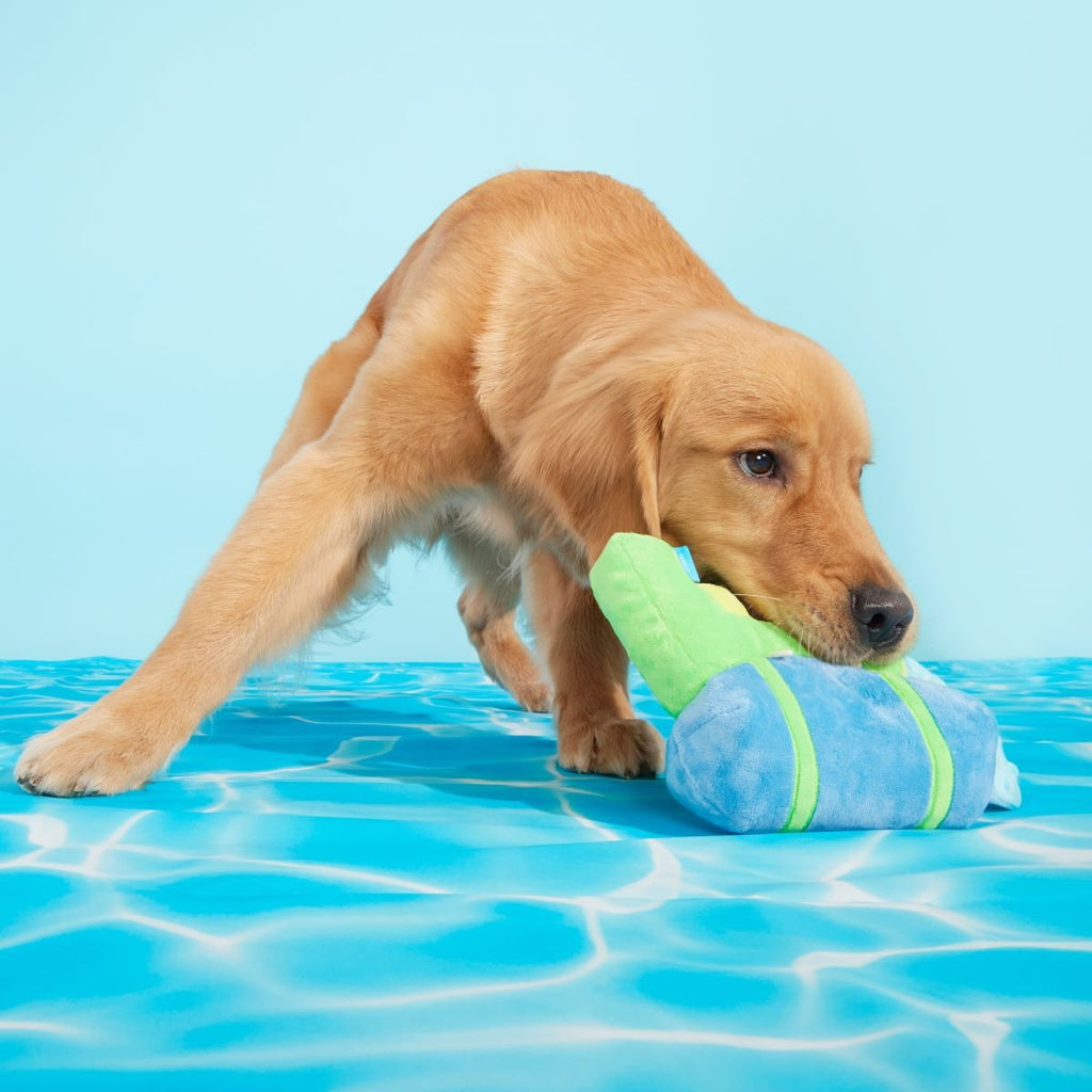 Super Slobber Plush Tug Dog Toy