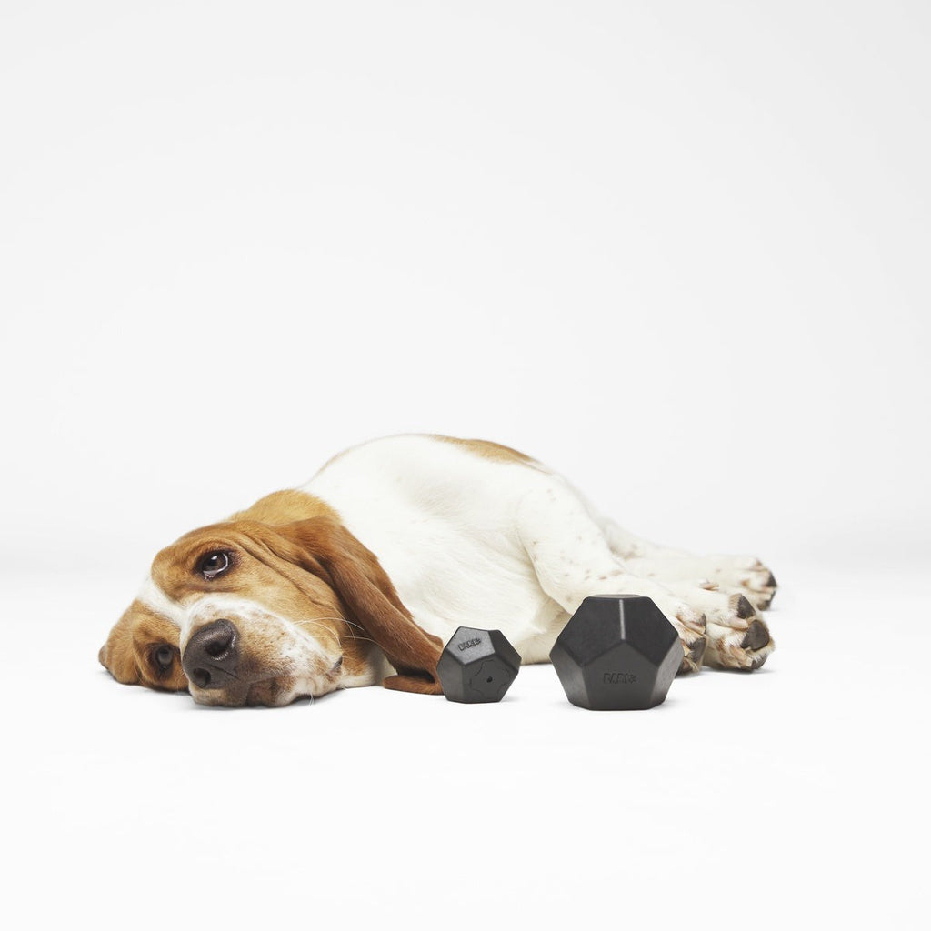 Cool Cool Coal Super Chewer Durable Gnaw Dog Toy
