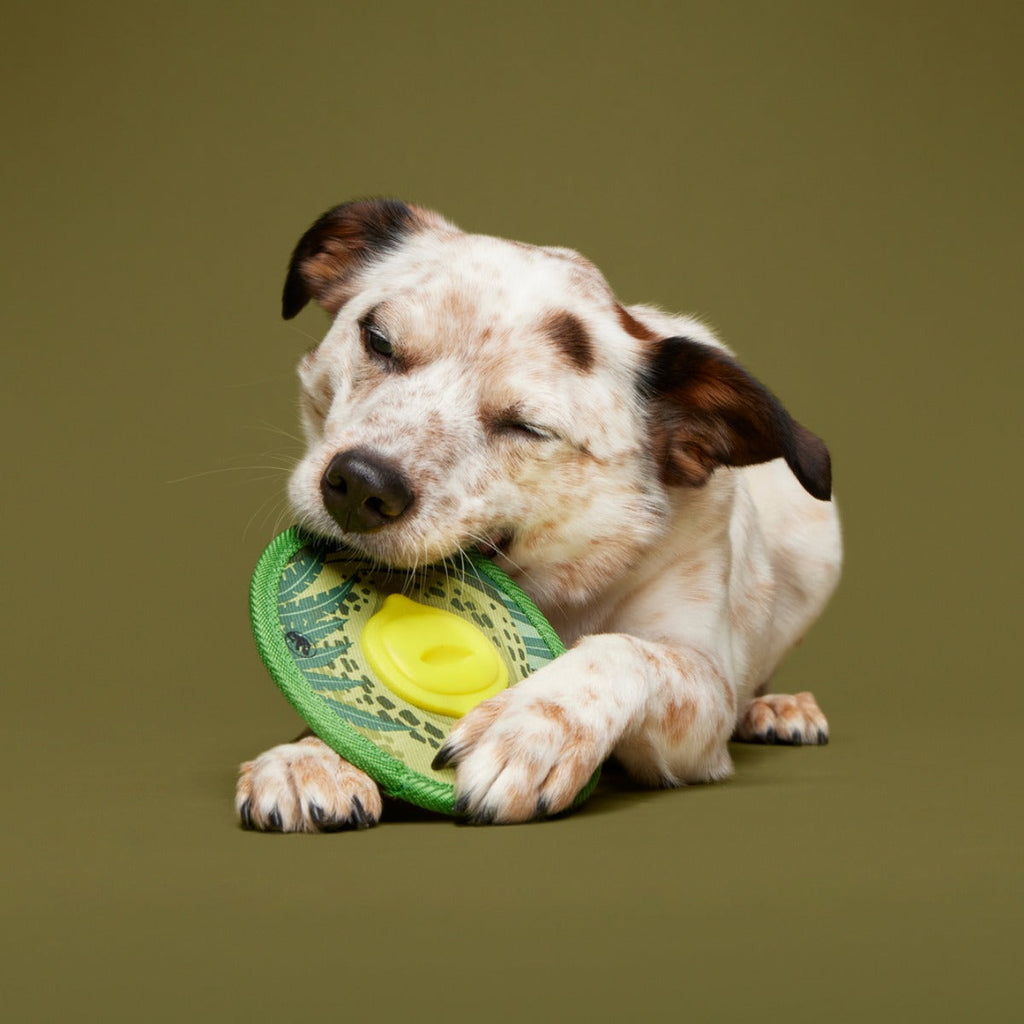 Dino Fling Ring Durable Super Chewer Fetch Dog Toy