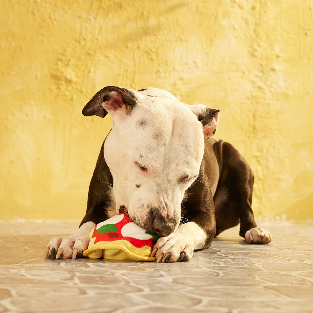 Muttzarella Pizza Plush Fetch Dog Toy