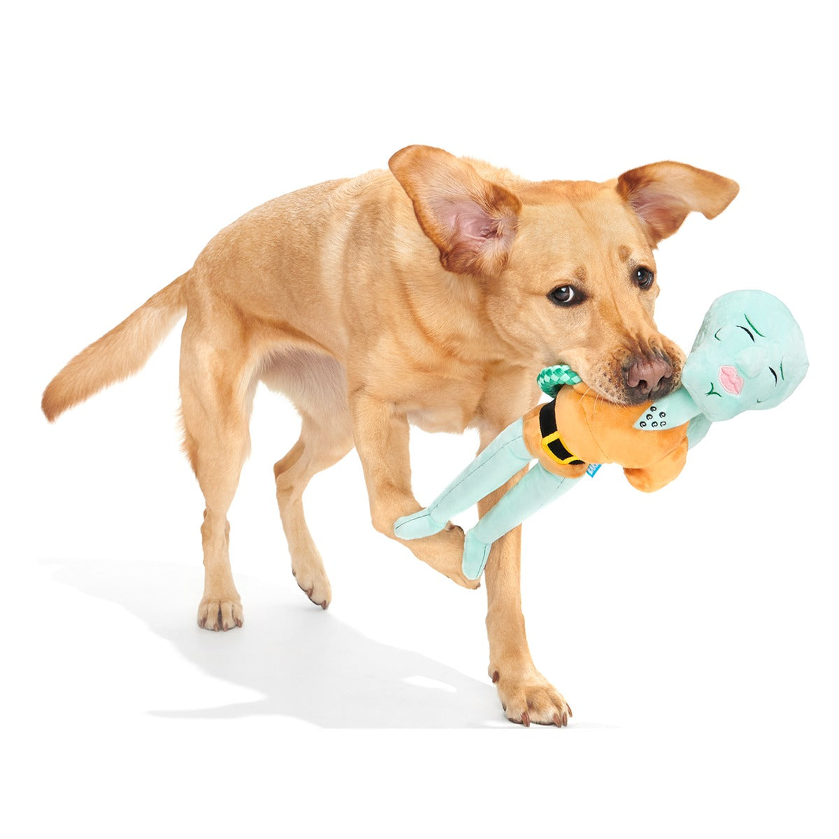 Handsome Squidward Plush Extra-Large + Tug Dog Toy