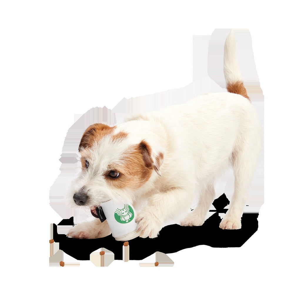 Pupkin Spice Yappuccino Super Chewer Durable 2-in-1 + Enrichment Dog Toy