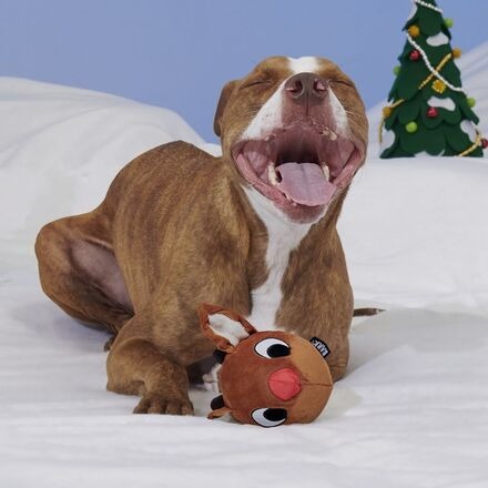 Reindeer GamesTM Rudolph® Durable Super Chewer Enrichment + 2-in-1 Rip and Reveal Dog Toy