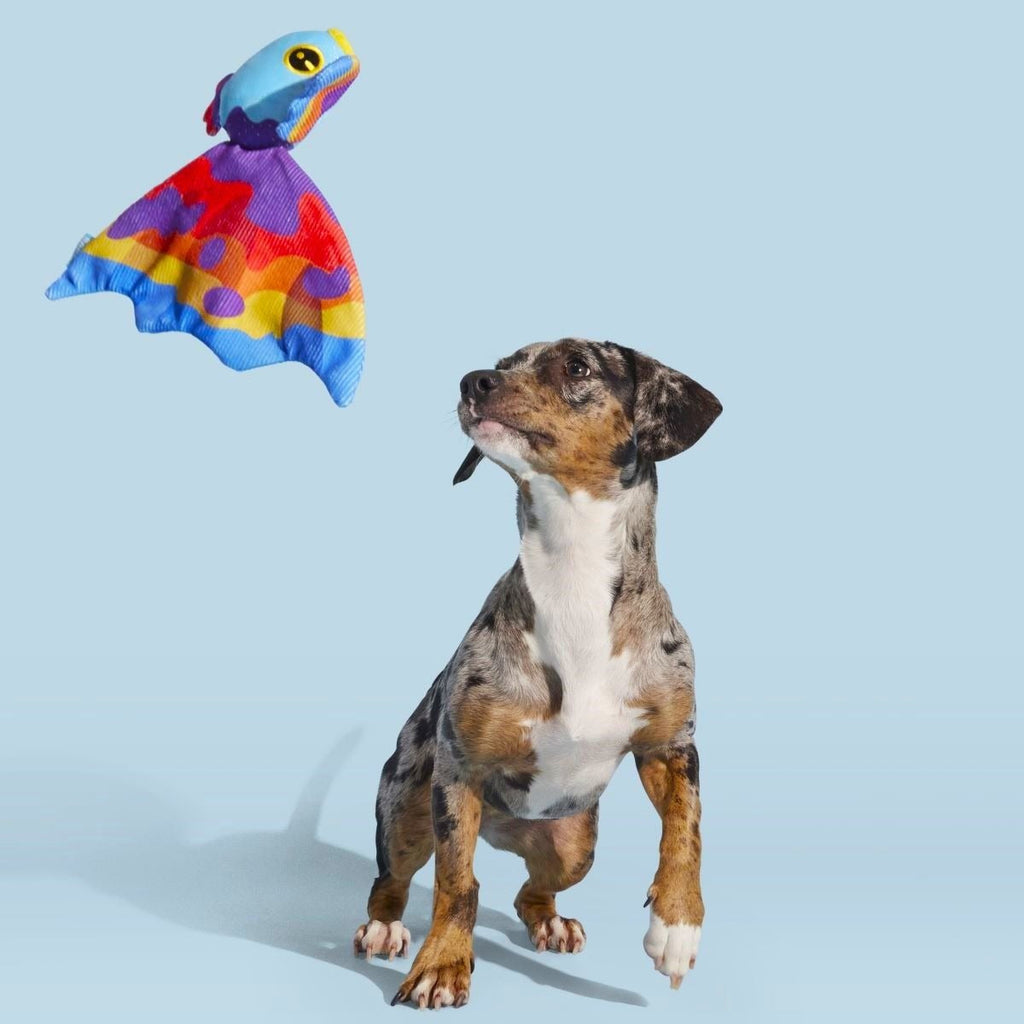 Beta Boop Plush Tug Dog Toy