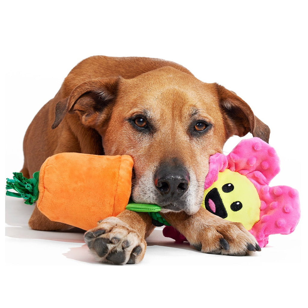Rose the Daisy Plush Tug Dog Toy