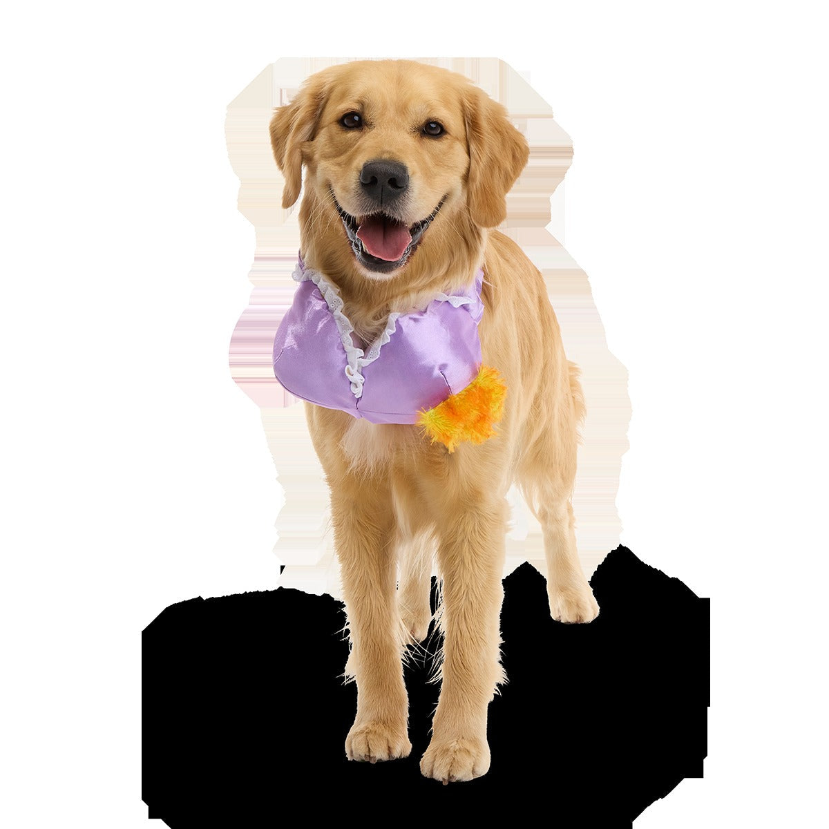 Bite the Patriarchy Plush Tug Dog Toy