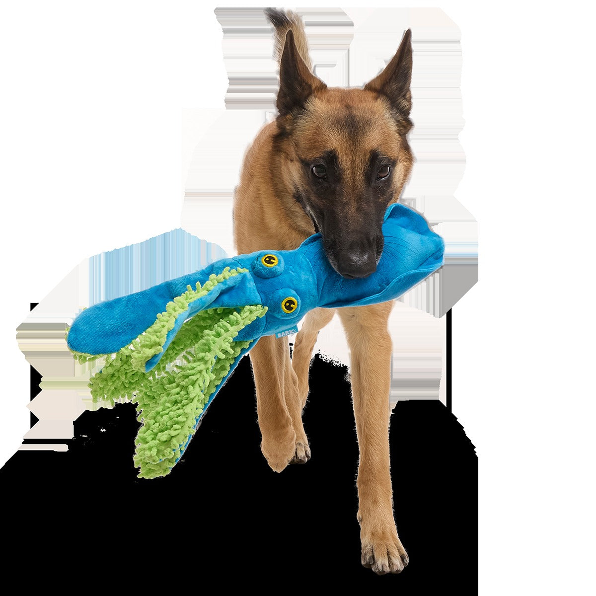 Shifty Sid the Squid Plush Extra-Large + Tug Dog Toy