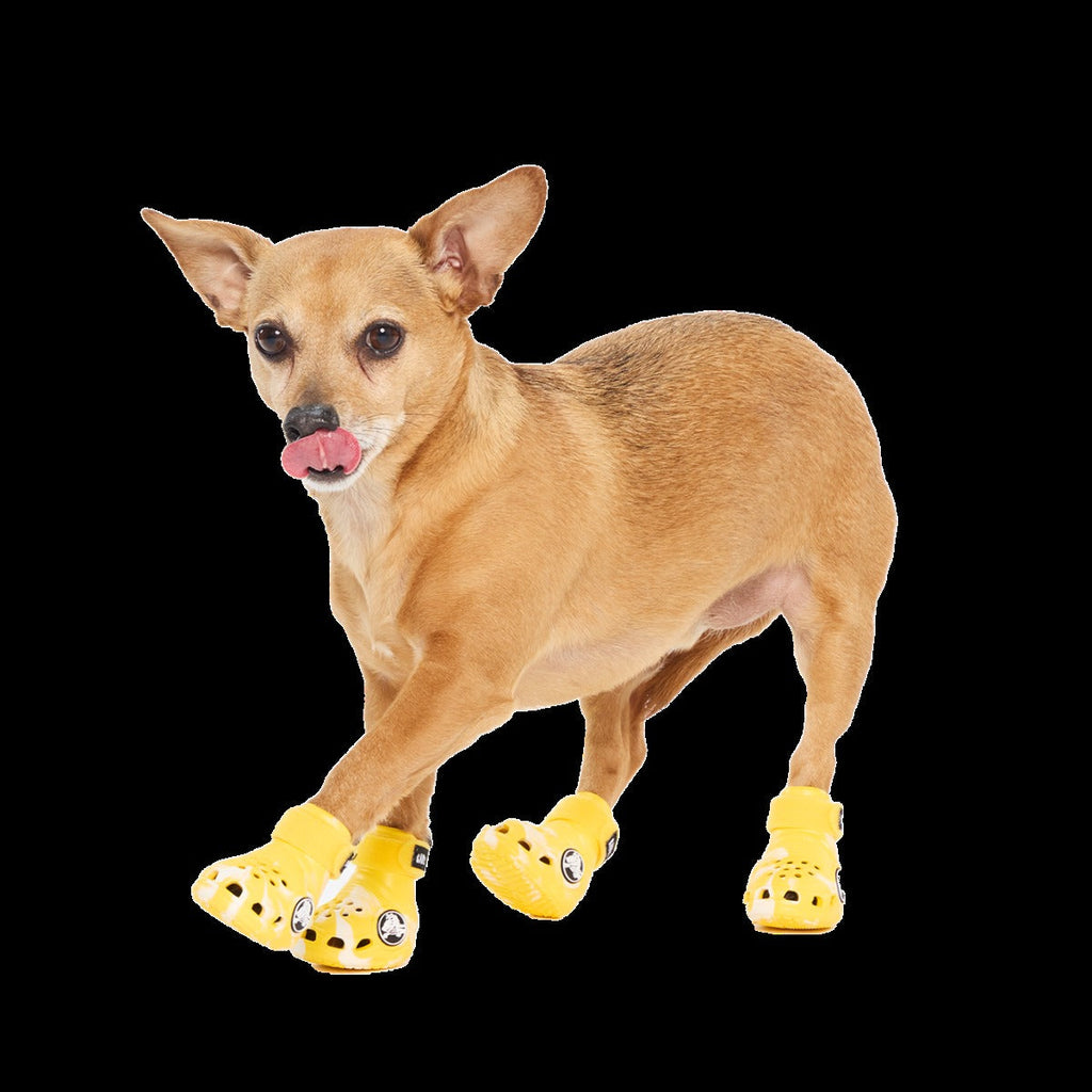 CrocsTM Shoes For Dogs