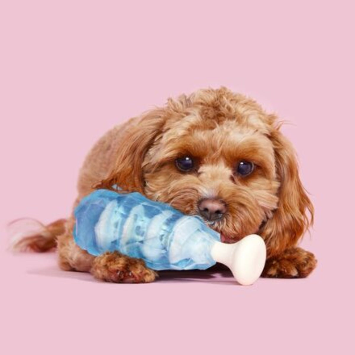 Dandy Blue Rock Candy Super Chewer Durable Gnaw Dog Toy