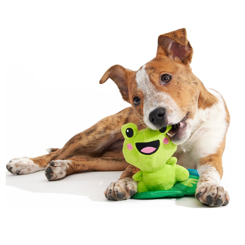 Lily Pal Plush Tug Dog Toy