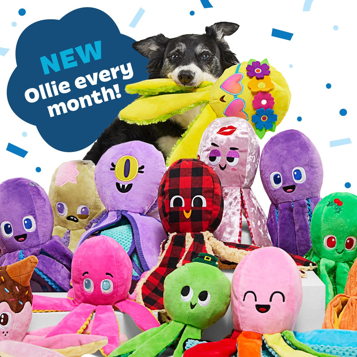 Ollie the Octopus Club, Plush Tug Monthly Dog Toys