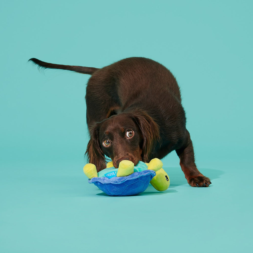 Tiago Tortuga Plush Tug Dog Toy