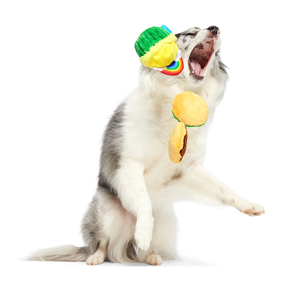 Patty Cakes Plush Multi-Part Dog Toy