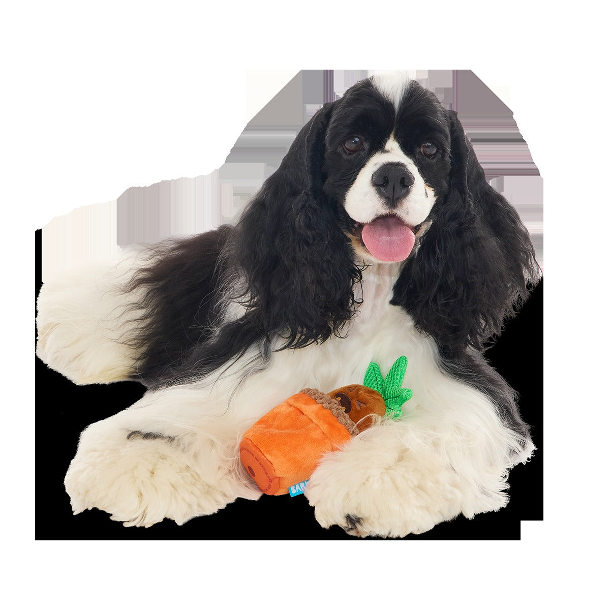 MandrakeTM Plush Tug + Multi-Part Dog Toy