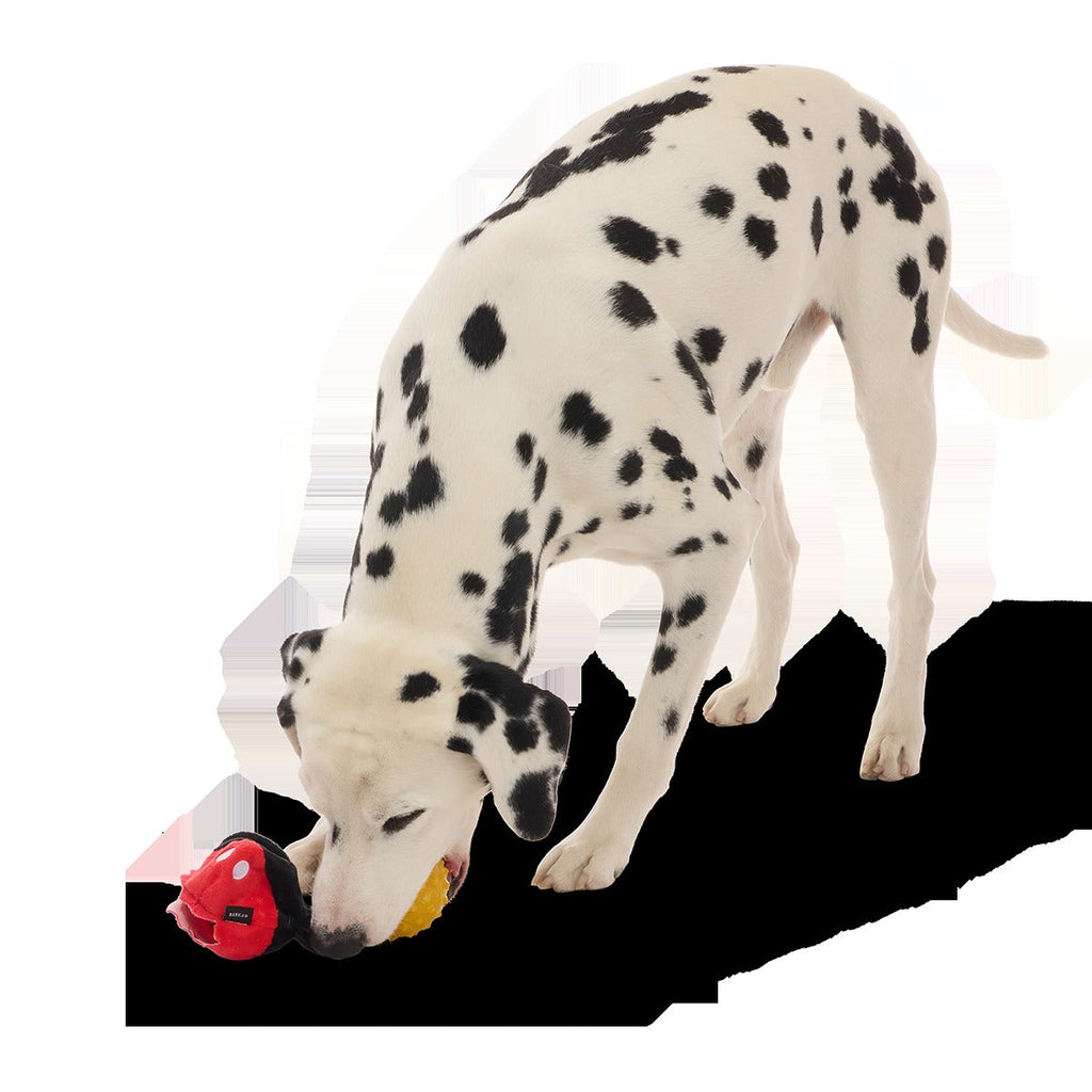 Mickey Mouse Ball Super Chewer Durable 2-in-1 + Fetch Dog Toy
