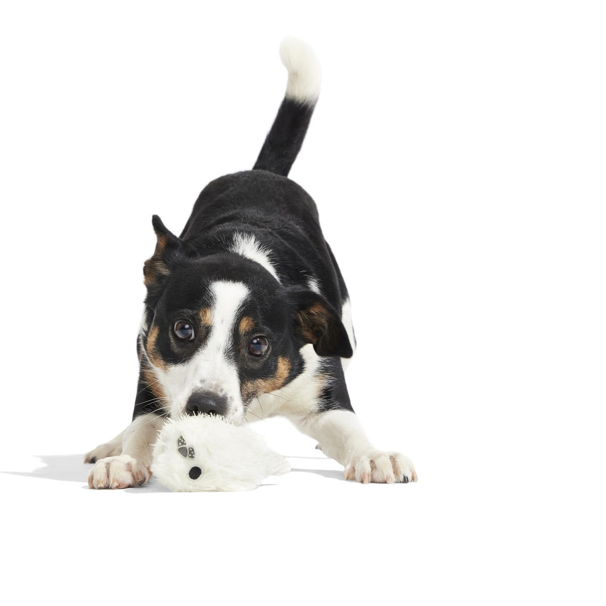 Seal Meal Super Chewer Durable 2-in-1 + Enrichment Dog Toy