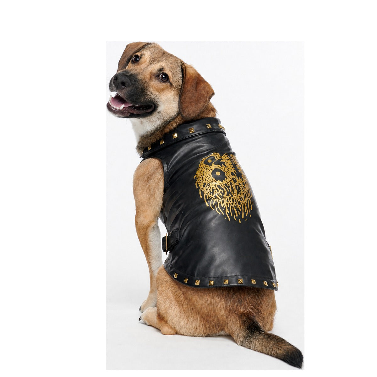 Vest in Peace Dog Vest