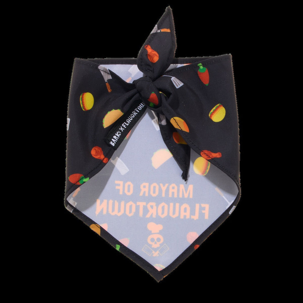 FlavortownTM Dog Bandana