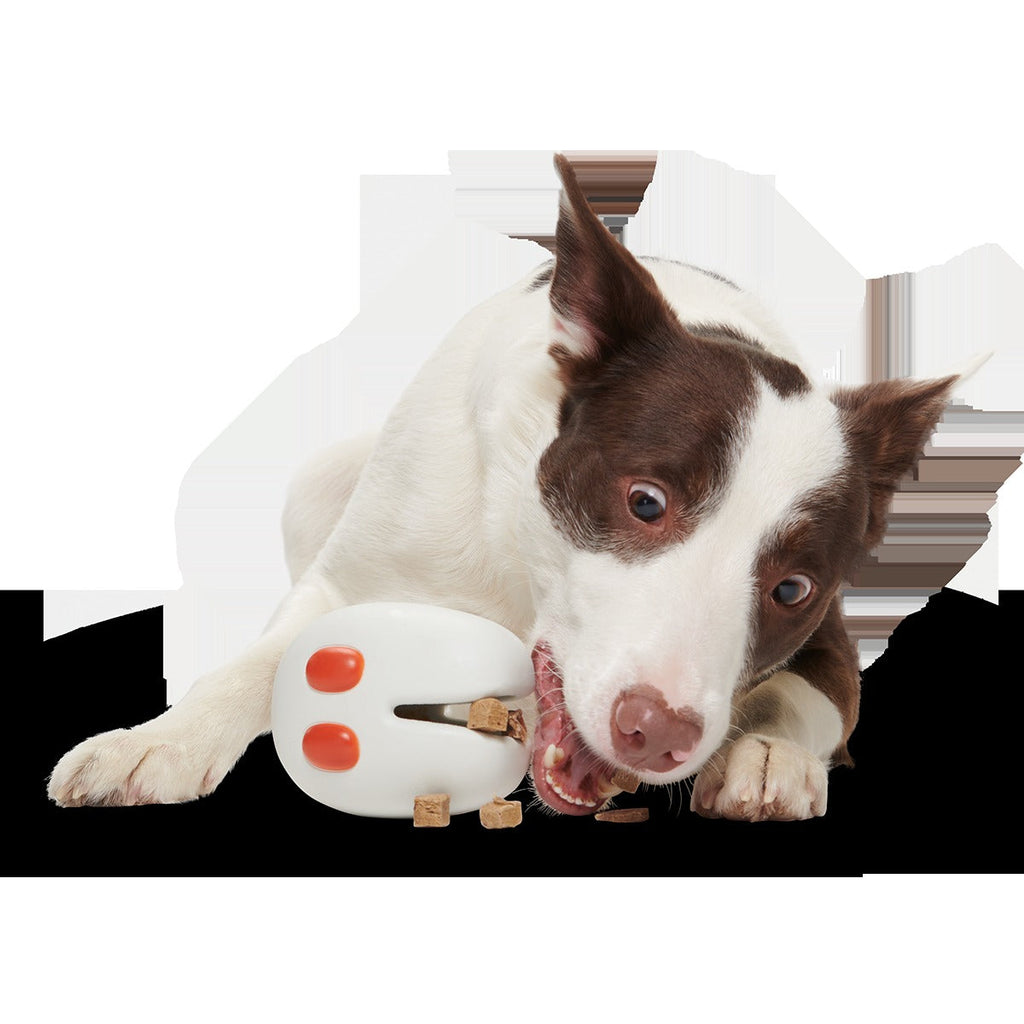 Frank the Fresno Nightcrawler Super Chewer Durable Enrichment Dog Toy
