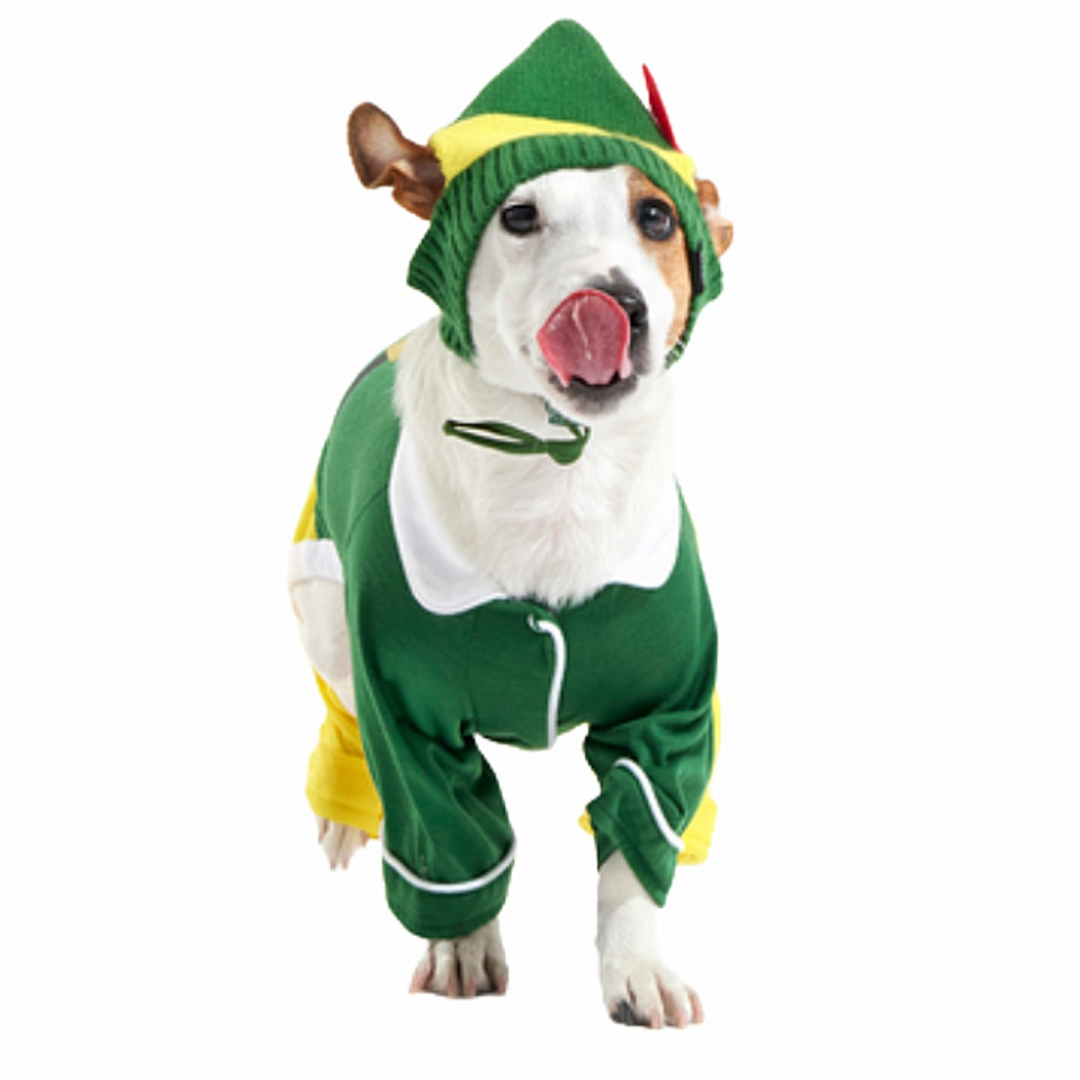 Buddy The ElfTM Dog Hat and Pajamas