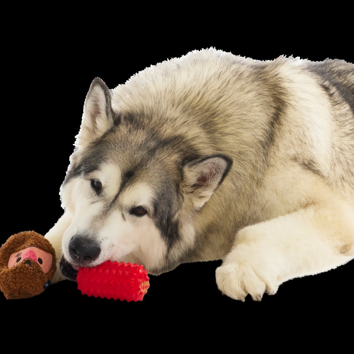 Mean Mad Marv Durable Super Chewer Dog Toy