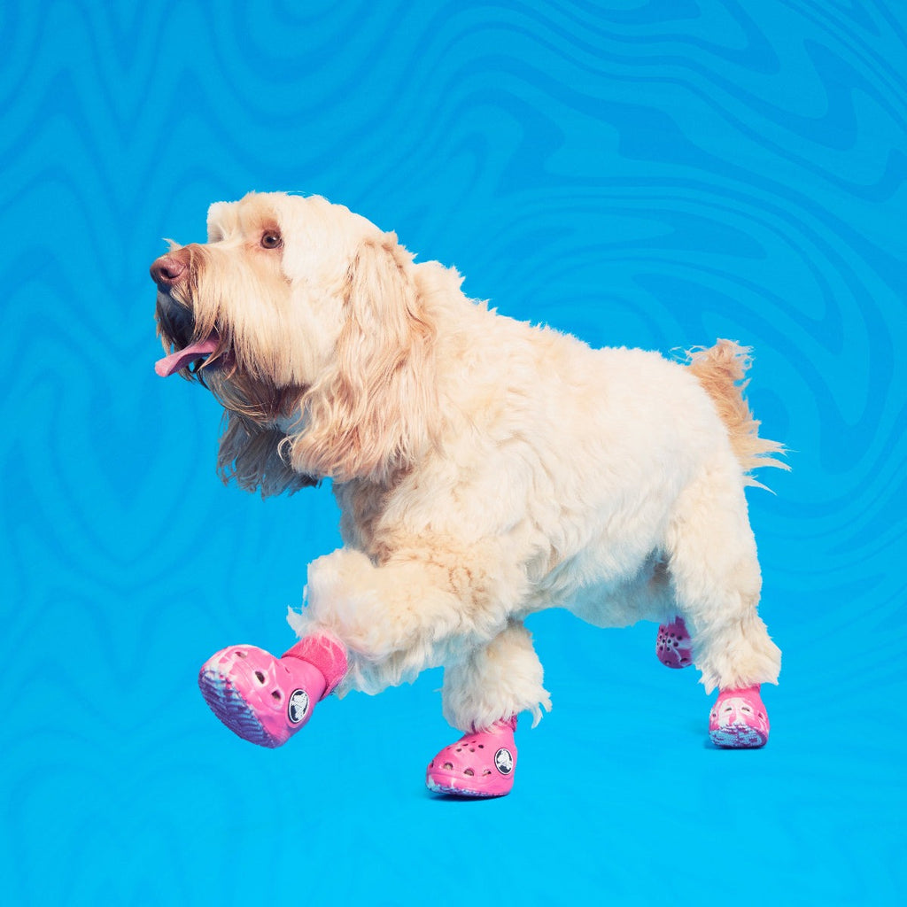 CrocsTM Shoes For Dogs